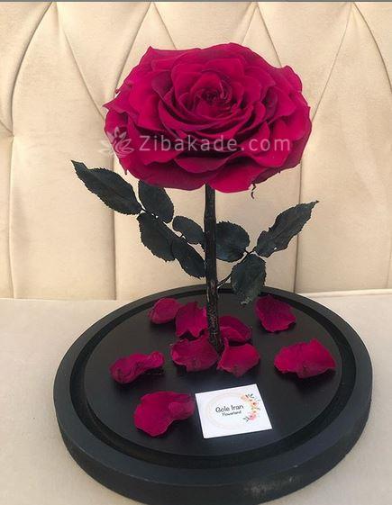 پیشنهاداتی برای خرید هدیه ی ولنتاین و تزیین کادوی ولنتاین